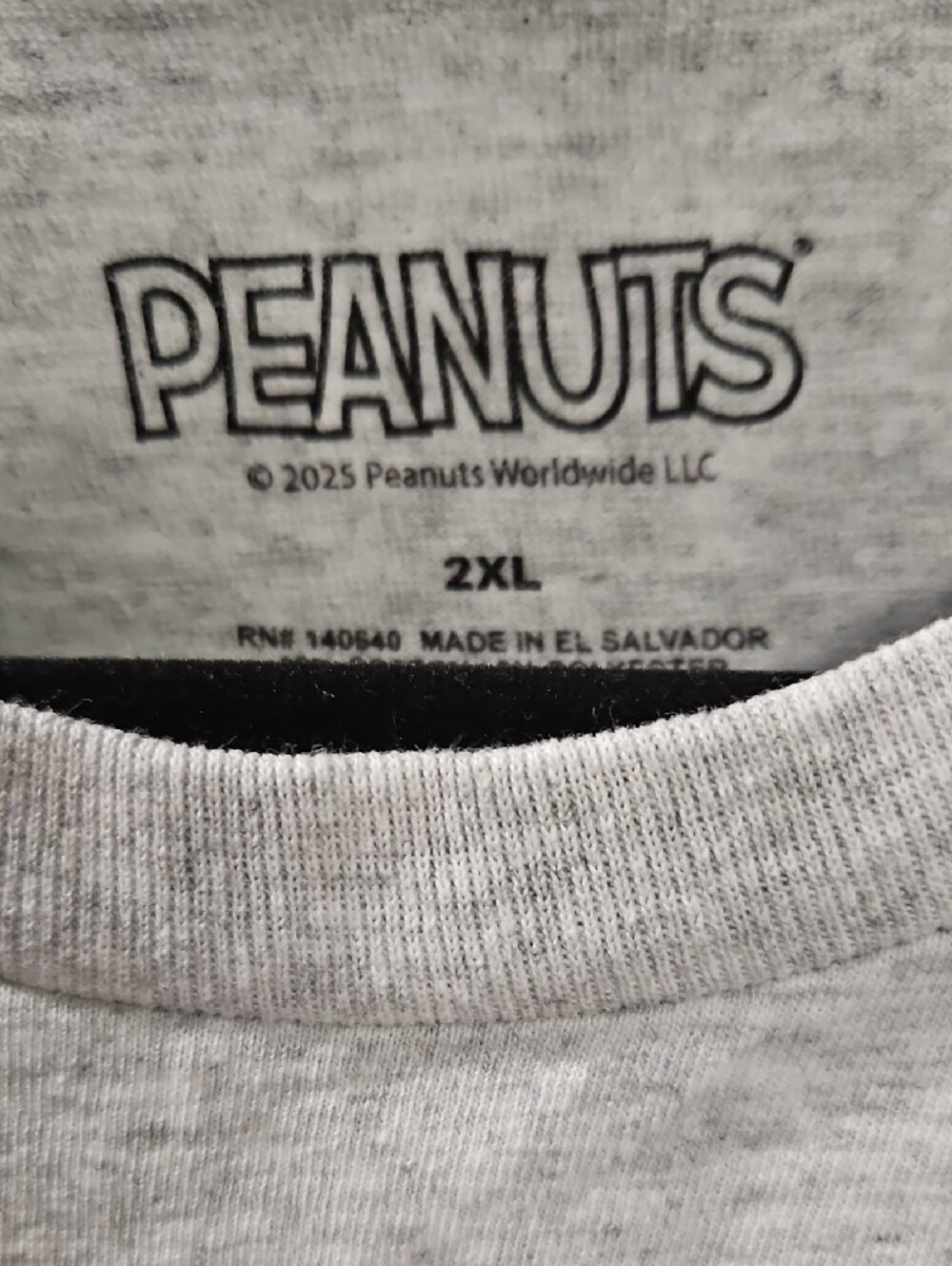 Peanuts Light Gray Long Sleeve Tee with Fall Graphic - Picture 2 of 4